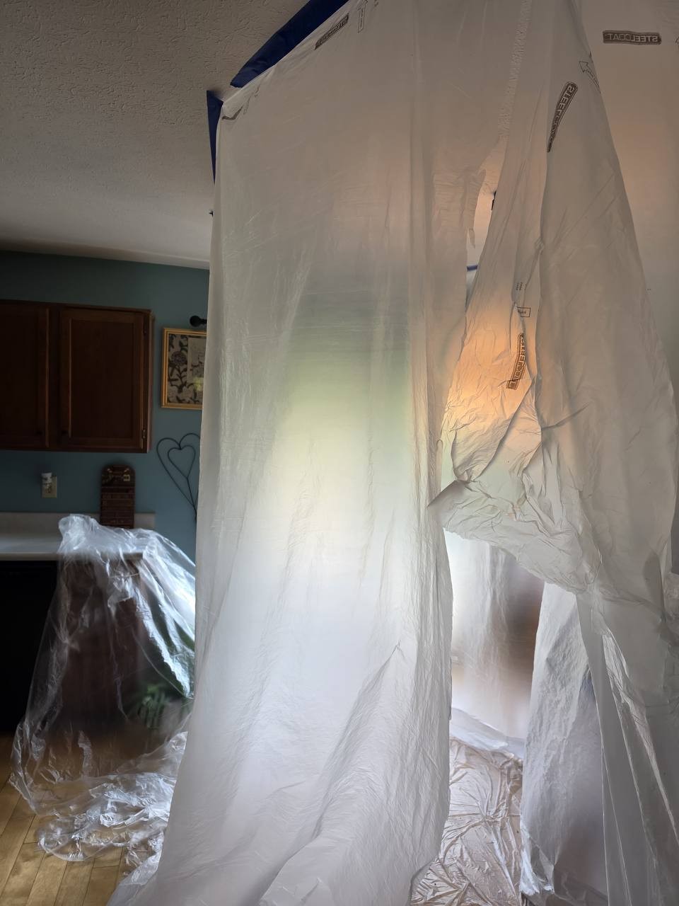 Dust confinement setup with ZipWall barrier in Louisville home